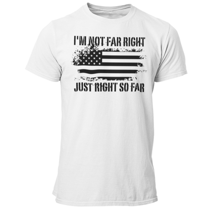 Not Far Right Just Right So Far Flag TShirt