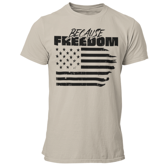 Because Freedom Flag Distressed TShirt